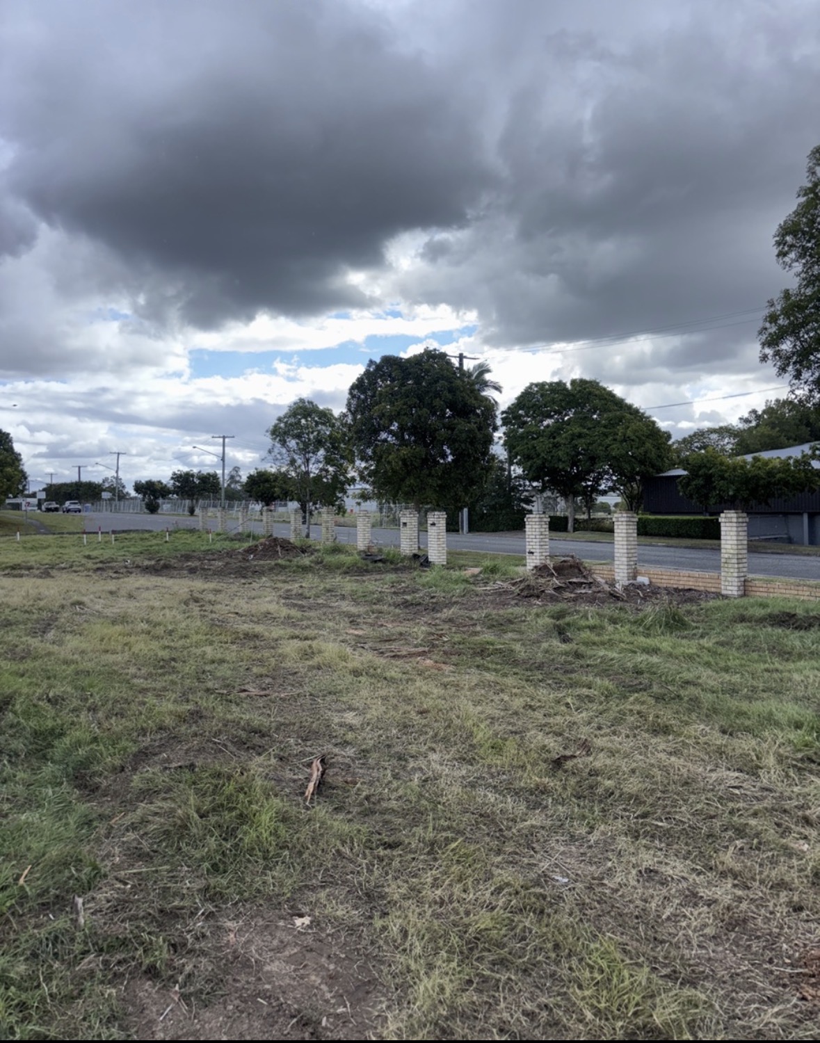 The same fence line cleared and tidied after the palms were removed